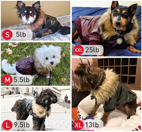 Waterproof Leather Dog Coats - ATUBAN Winter Puppy Jackets for Small to Medium Dogs - Image 8